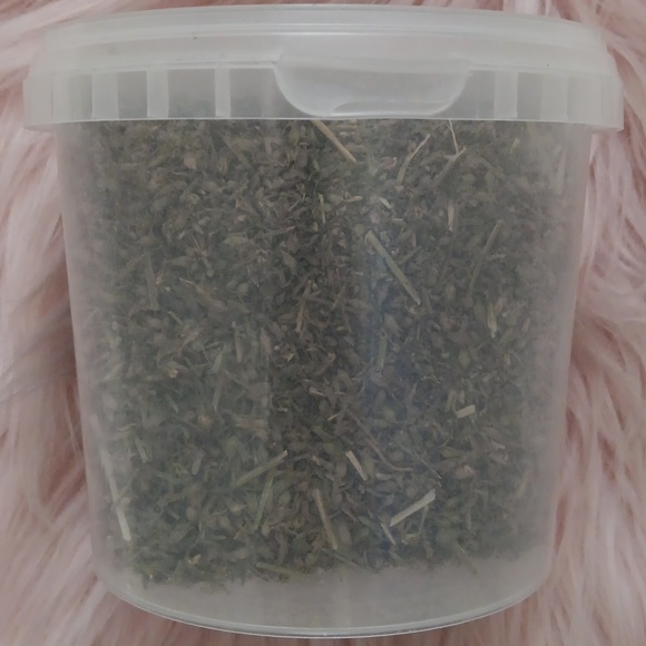 Brand New MULTIPET CATNIP GARDEN CATNIP - Picture 2 of 3